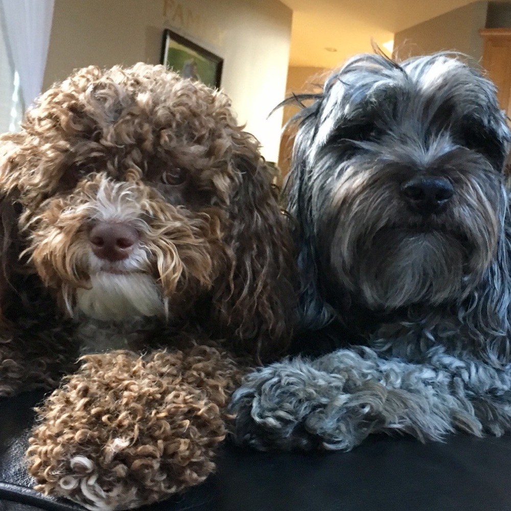 Meet your Posher, Sheri